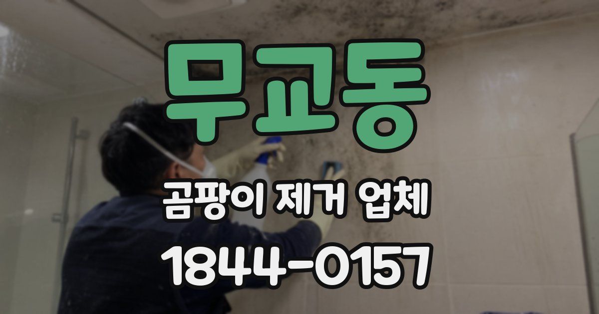 무교동 곰팡이 제거 업체