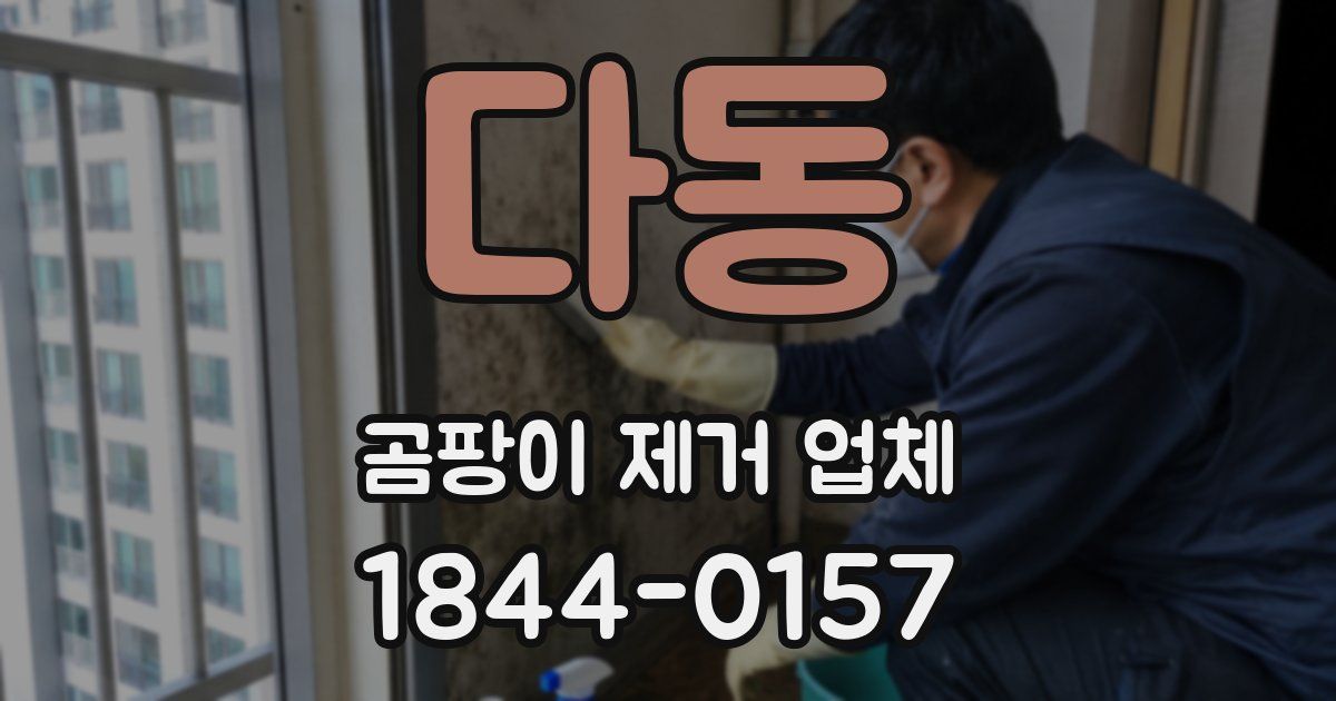 다동 곰팡이 제거 업체