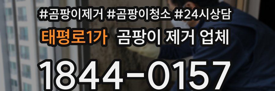 태평로1가 곰팡이 제거 업체