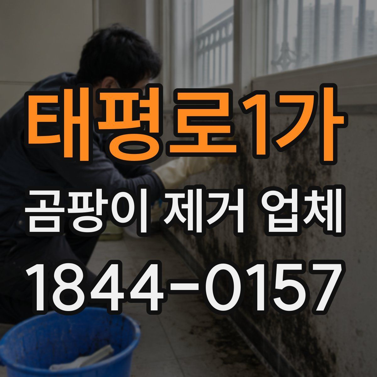 태평로1가 곰팡이 제거 업체