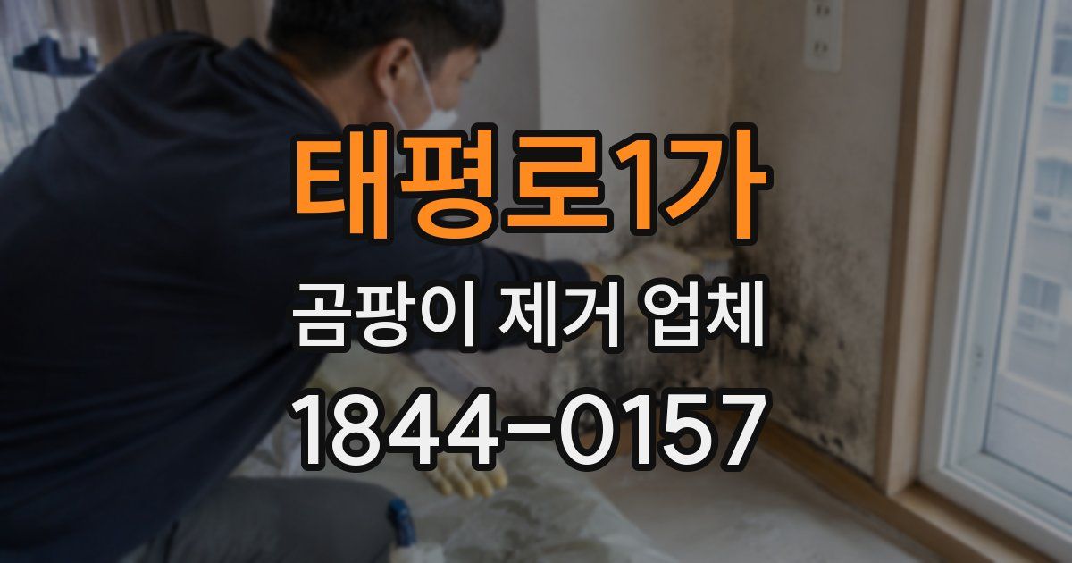 태평로1가 곰팡이 제거 업체
