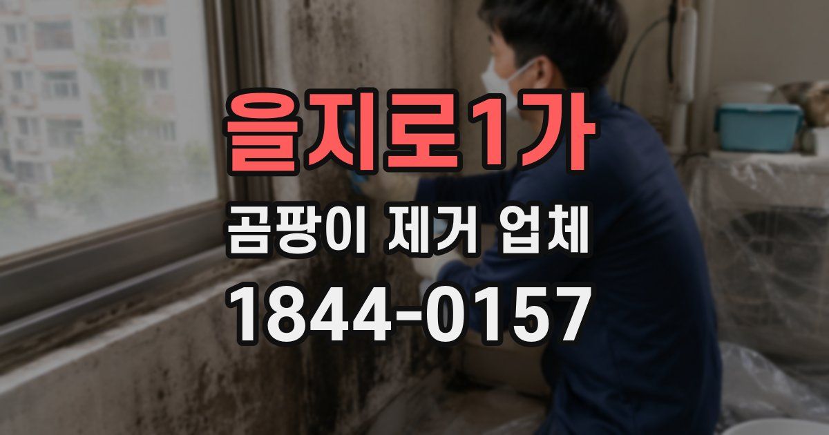 을지로1가 곰팡이 제거 업체
