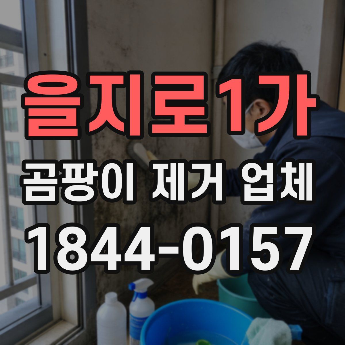 을지로1가 곰팡이 제거 업체