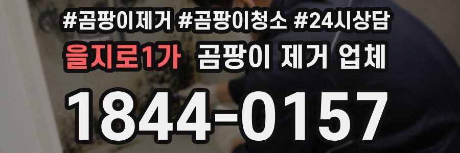 을지로1가 곰팡이 제거 업체