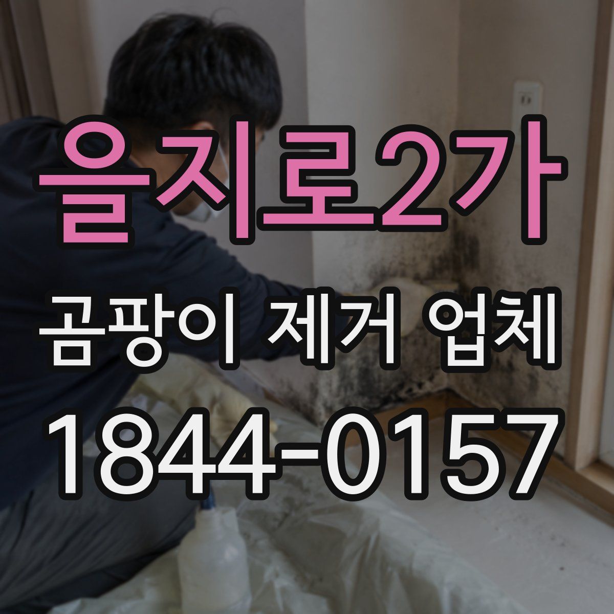 을지로2가 곰팡이 제거 업체
