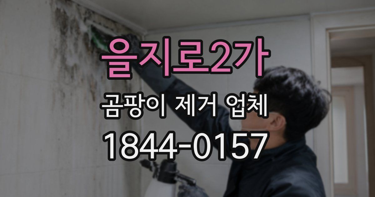 을지로2가 곰팡이 제거 업체