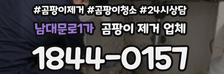 남대문로1가 곰팡이 제거 업체