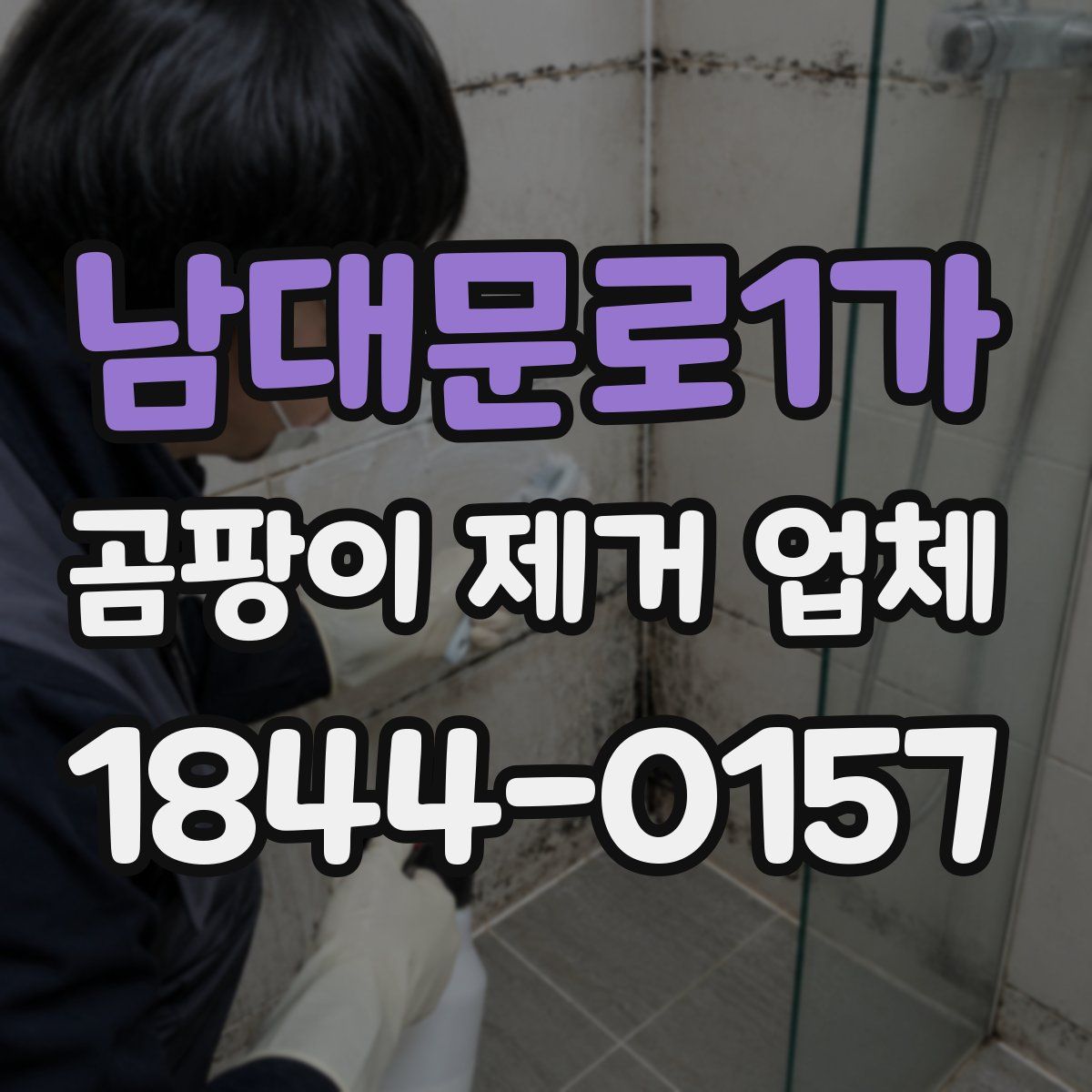 남대문로1가 곰팡이 제거 업체