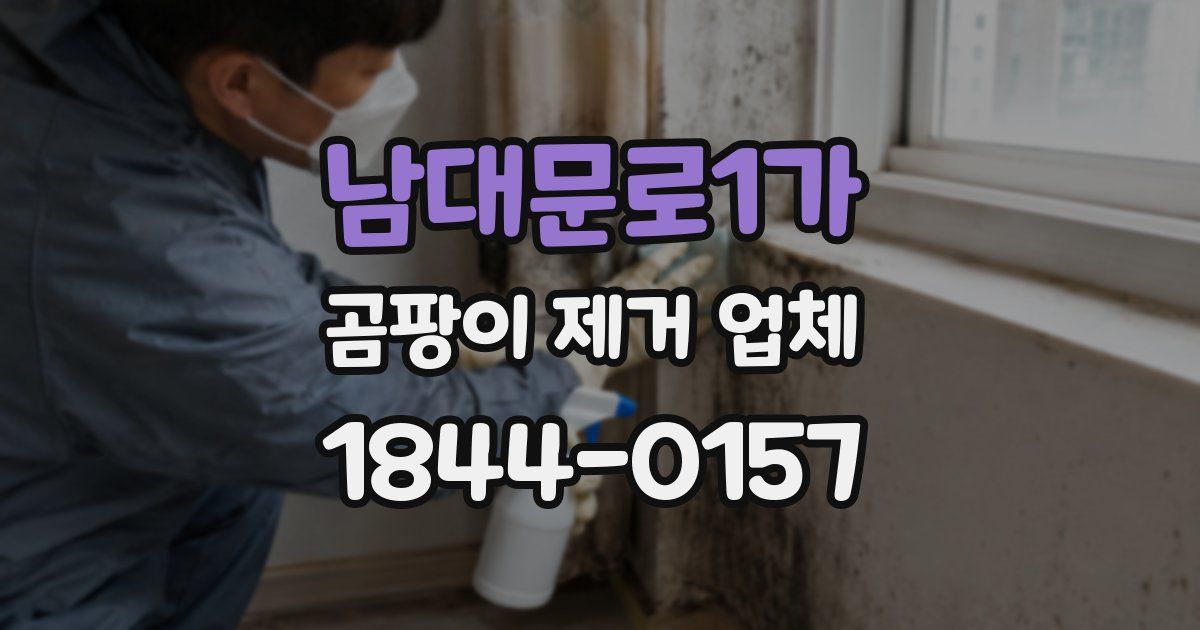 남대문로1가 곰팡이 제거 업체