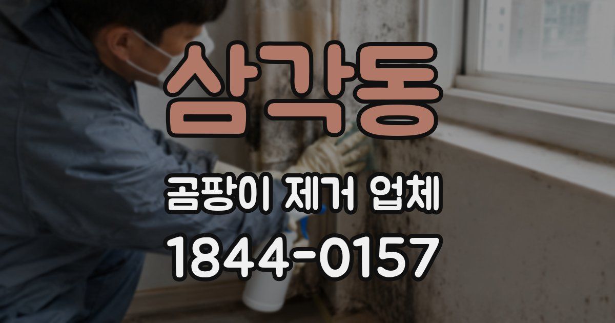삼각동 곰팡이 제거 업체