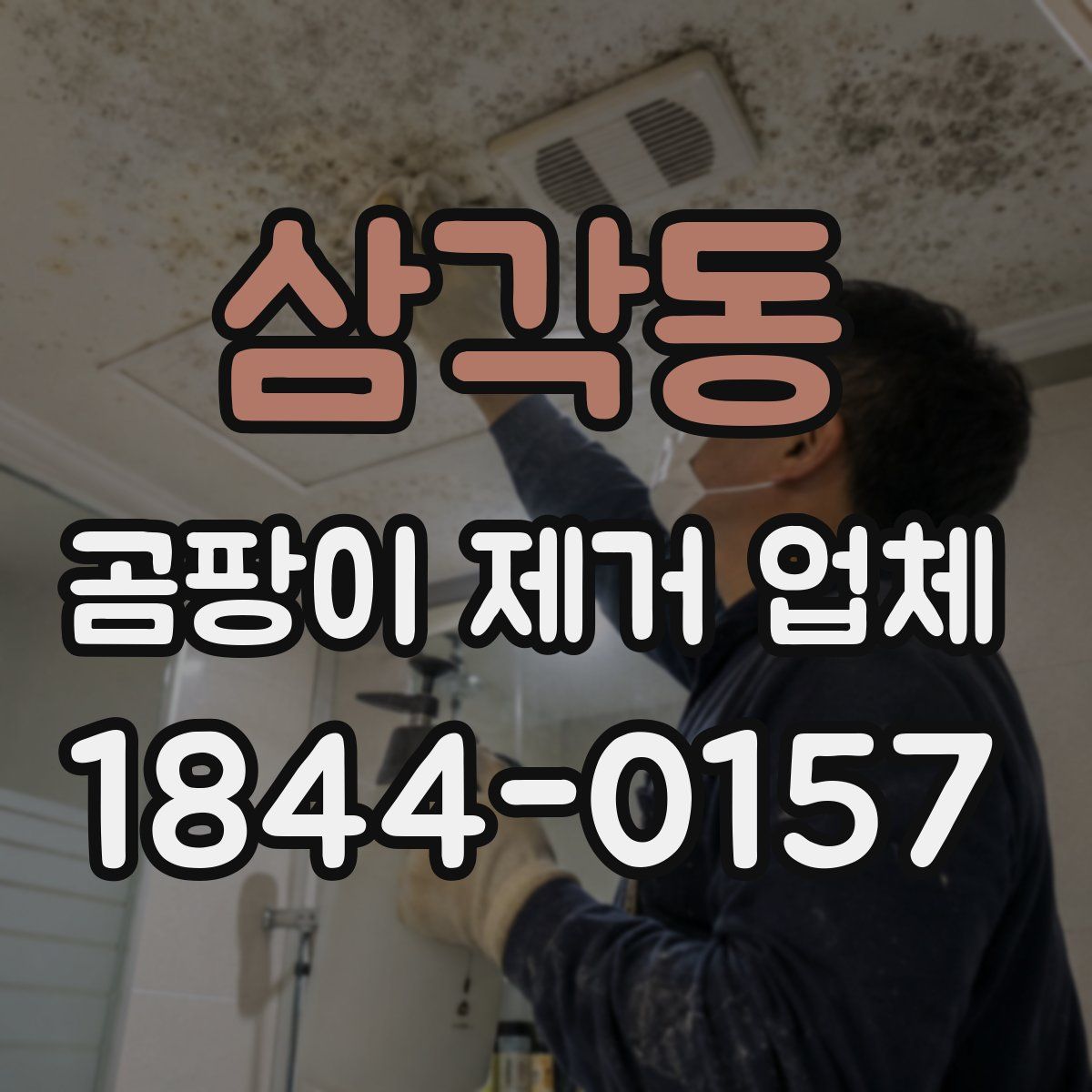 삼각동 곰팡이 제거 업체