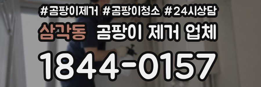 삼각동 곰팡이 제거 업체