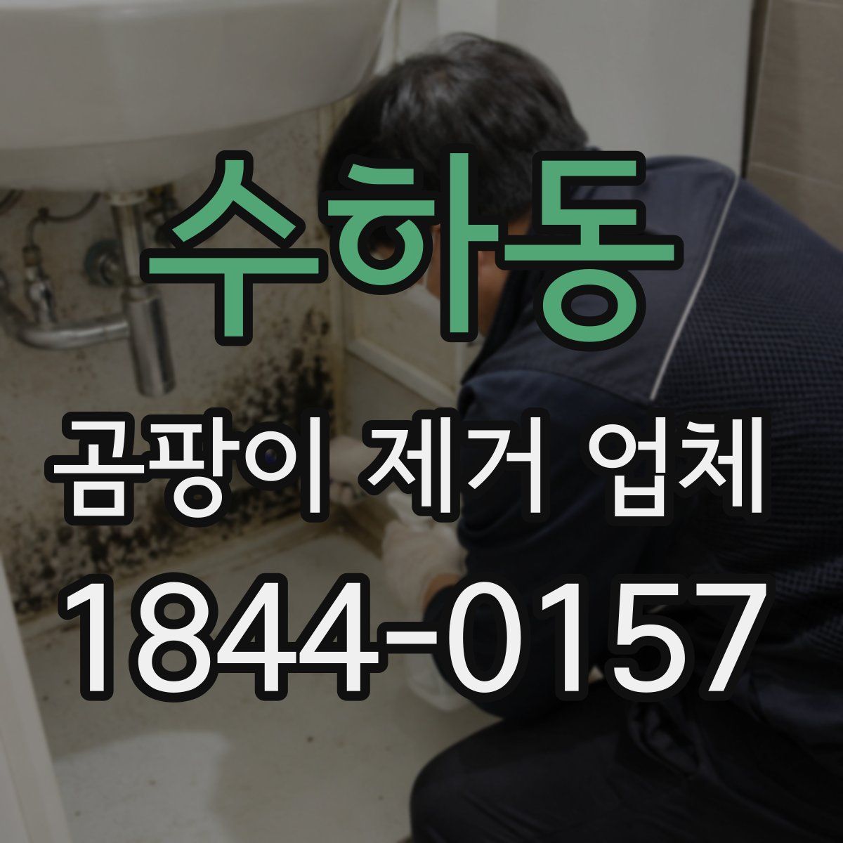 수하동 곰팡이 제거 업체