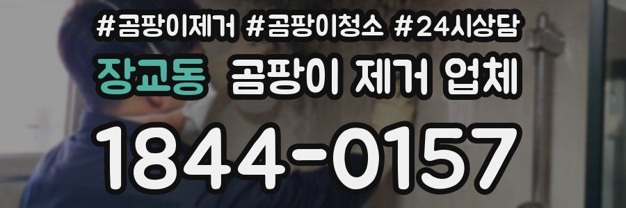 장교동 곰팡이 제거 업체