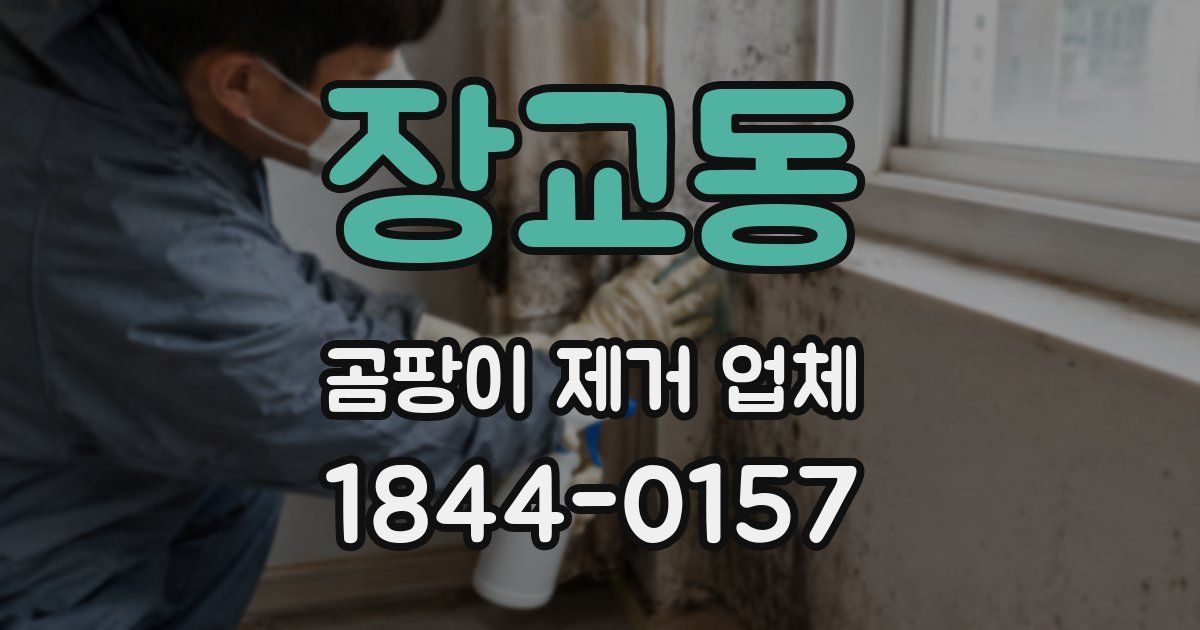 장교동 곰팡이 제거 업체