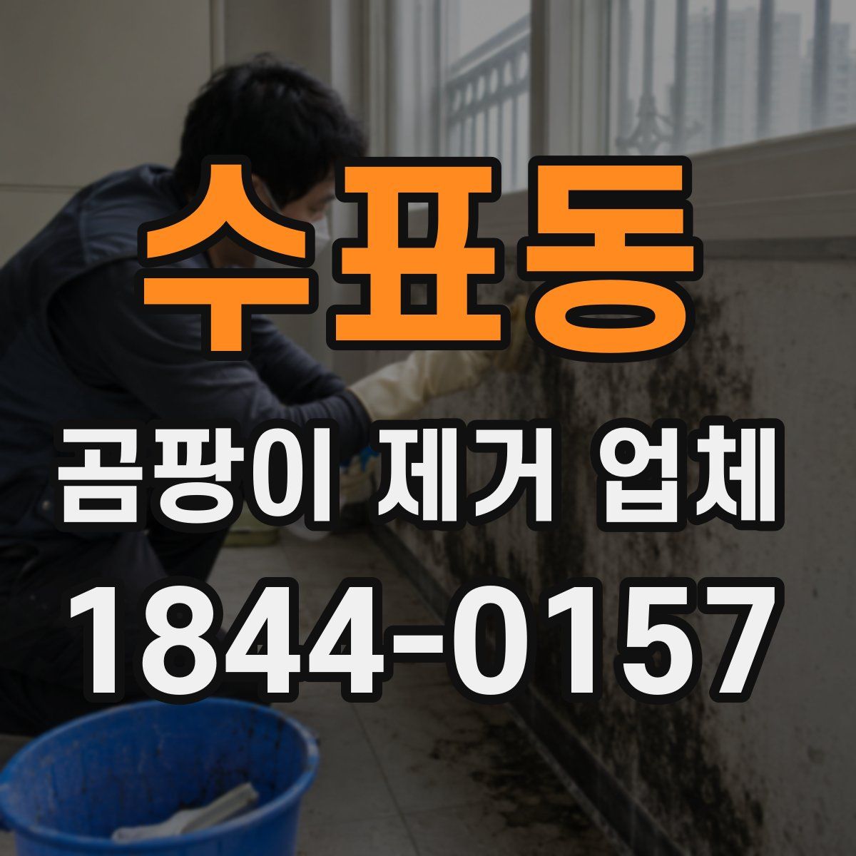 수표동 곰팡이 제거 업체