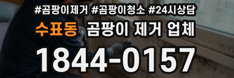 수표동 곰팡이 제거 업체