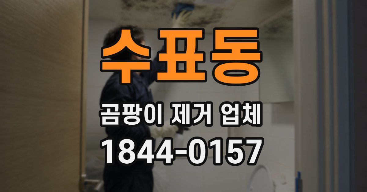 수표동 곰팡이 제거 업체