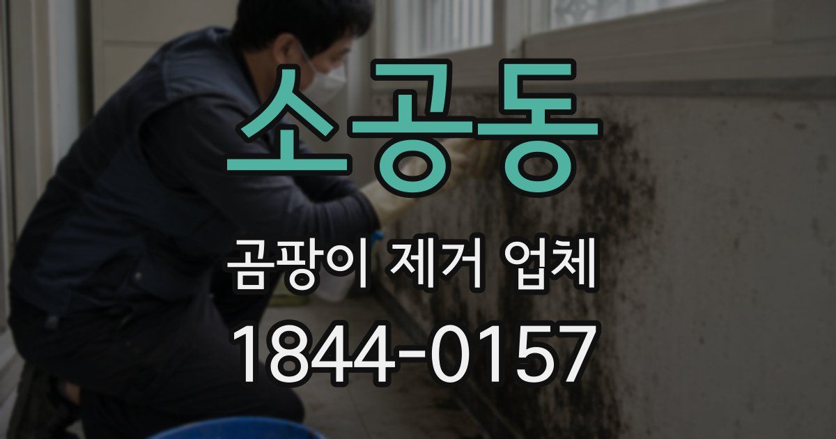 소공동 곰팡이 제거 업체