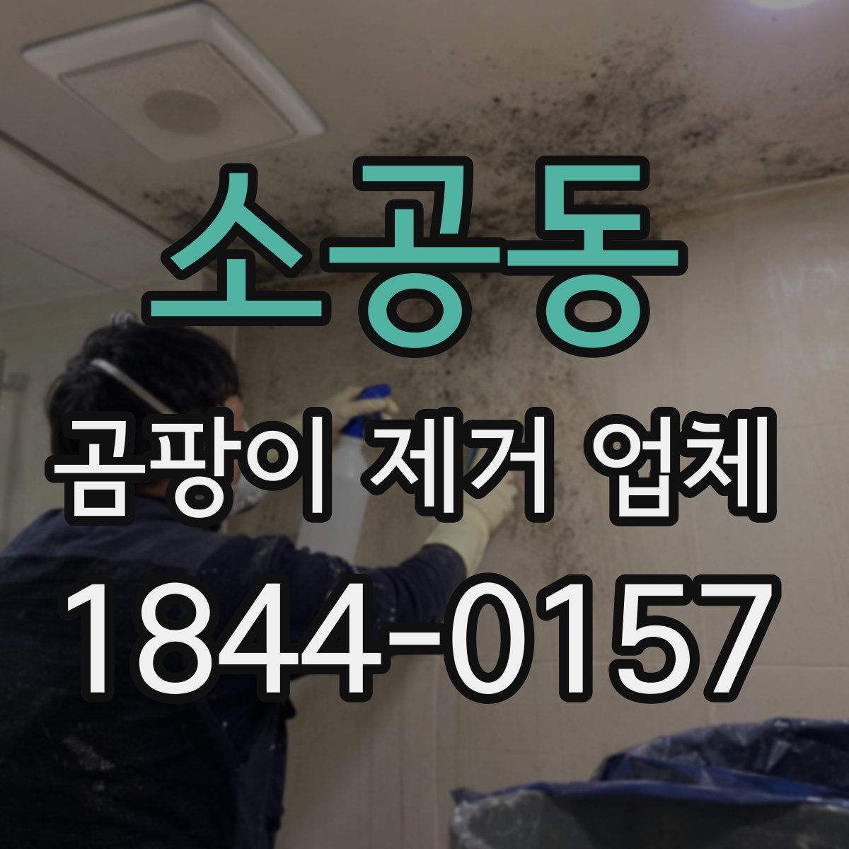 소공동 곰팡이 제거 업체