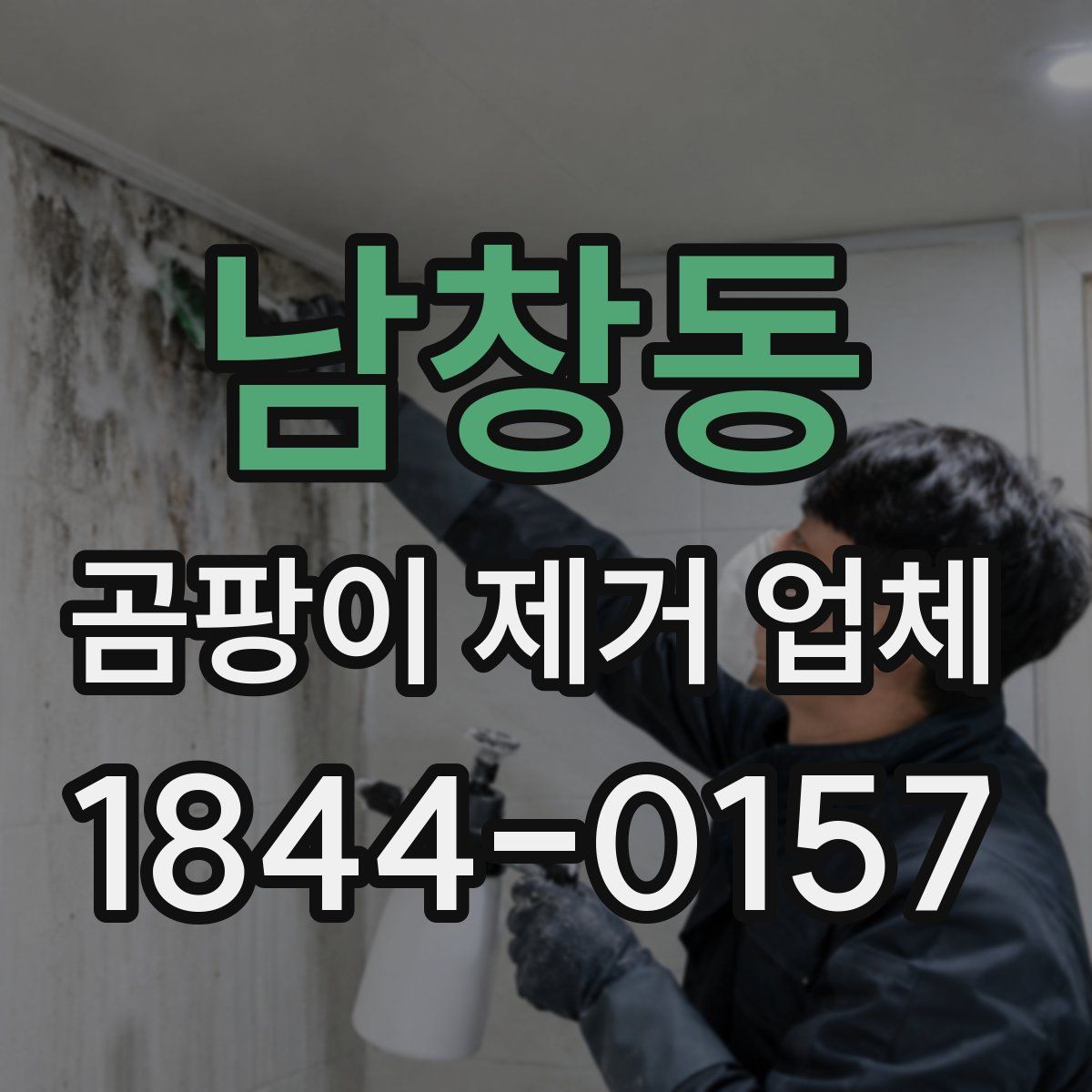 남창동 곰팡이 제거 업체