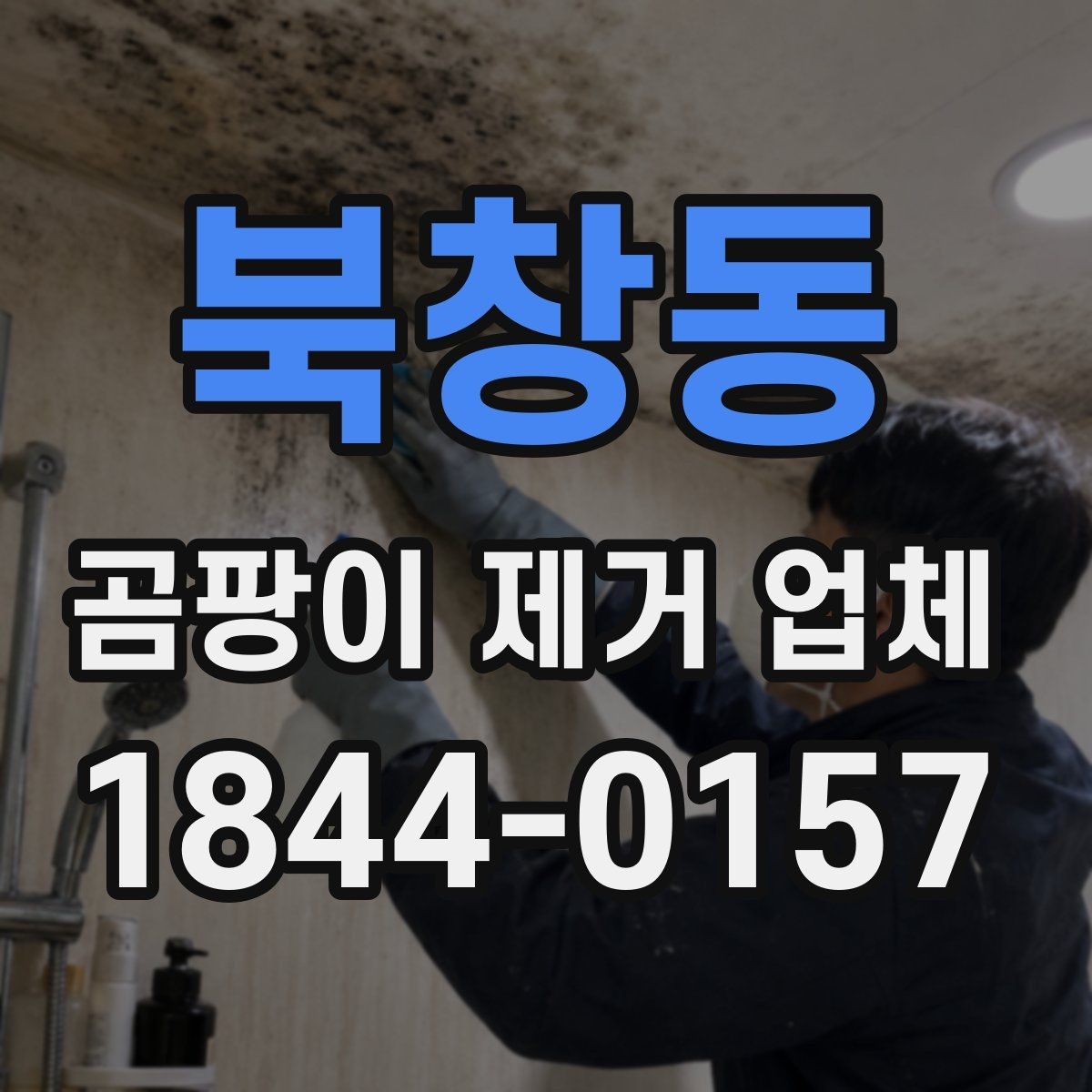 북창동 곰팡이 제거 업체 원인 미해결로 반복되는 곰팡이 문제를 줄이는 방법
