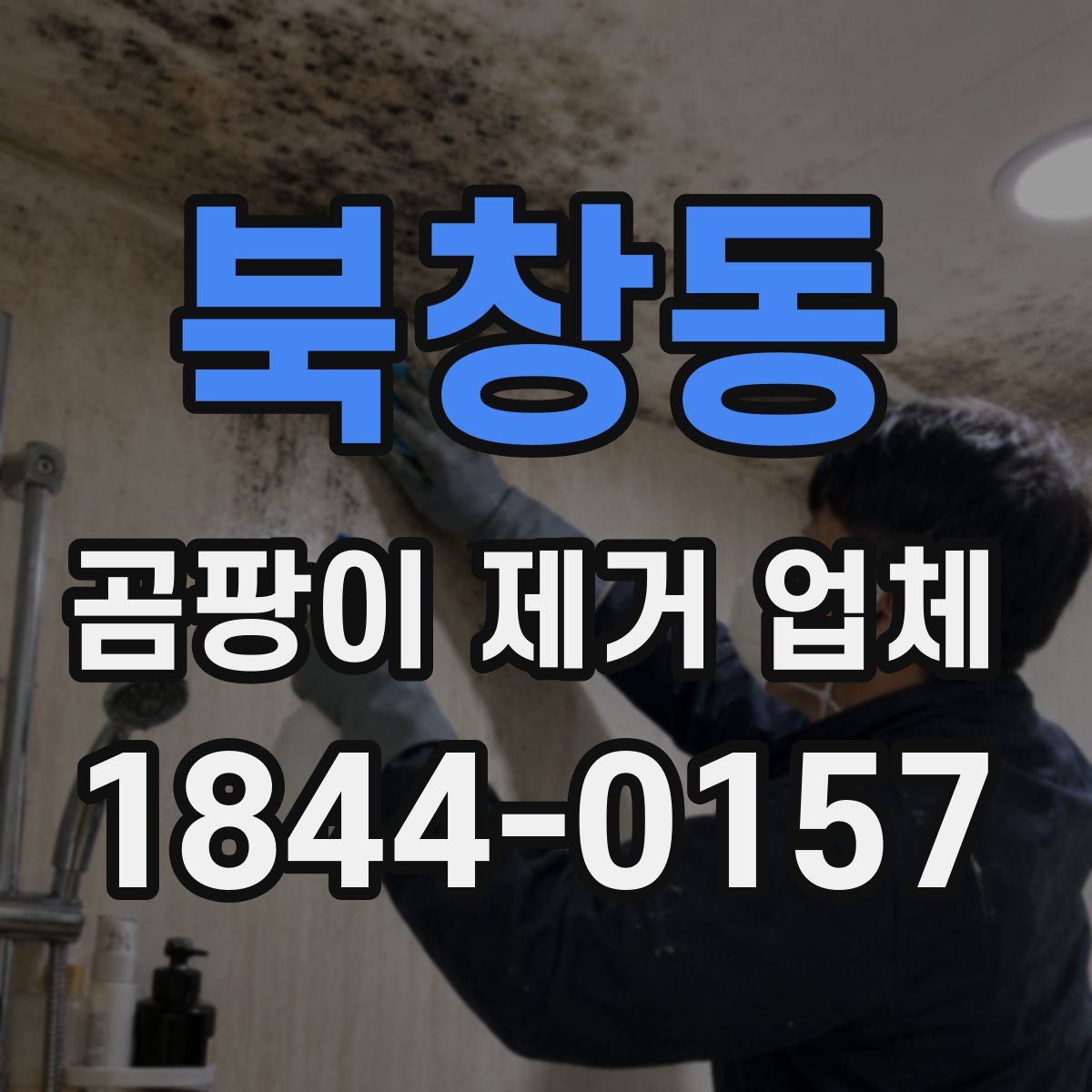 북창동 곰팡이 제거 업체