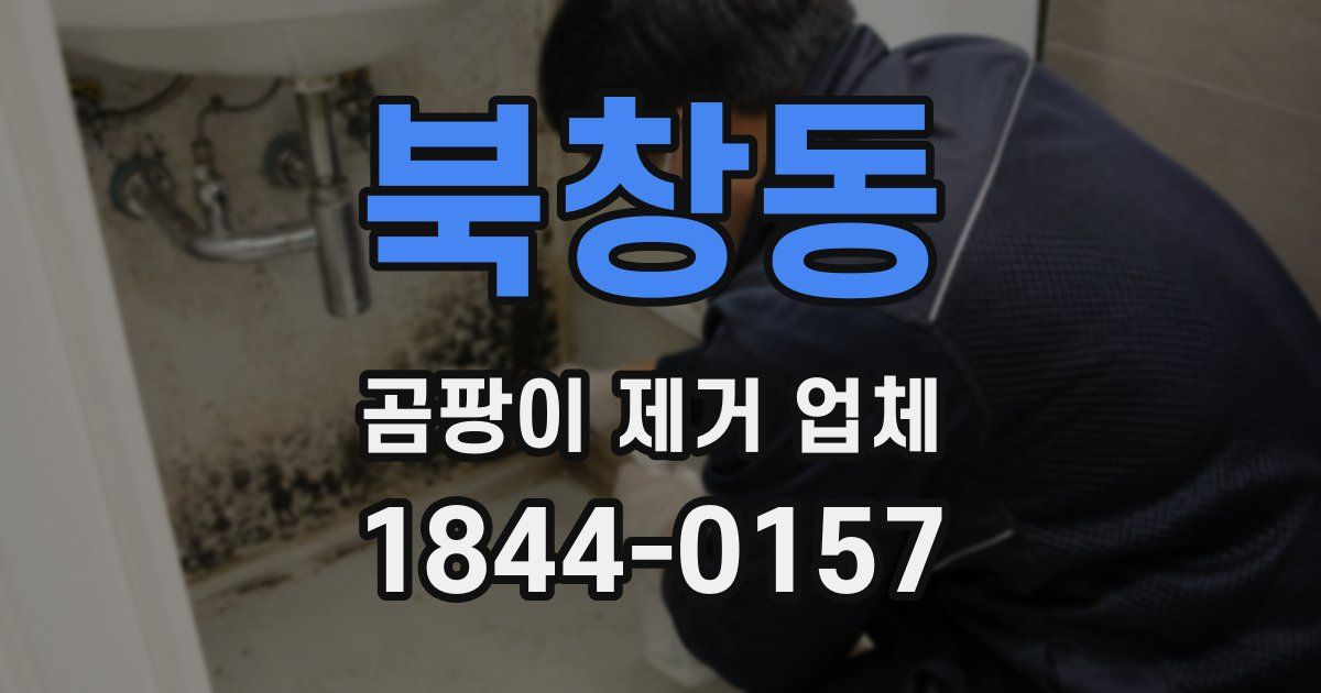 북창동 곰팡이 제거 업체