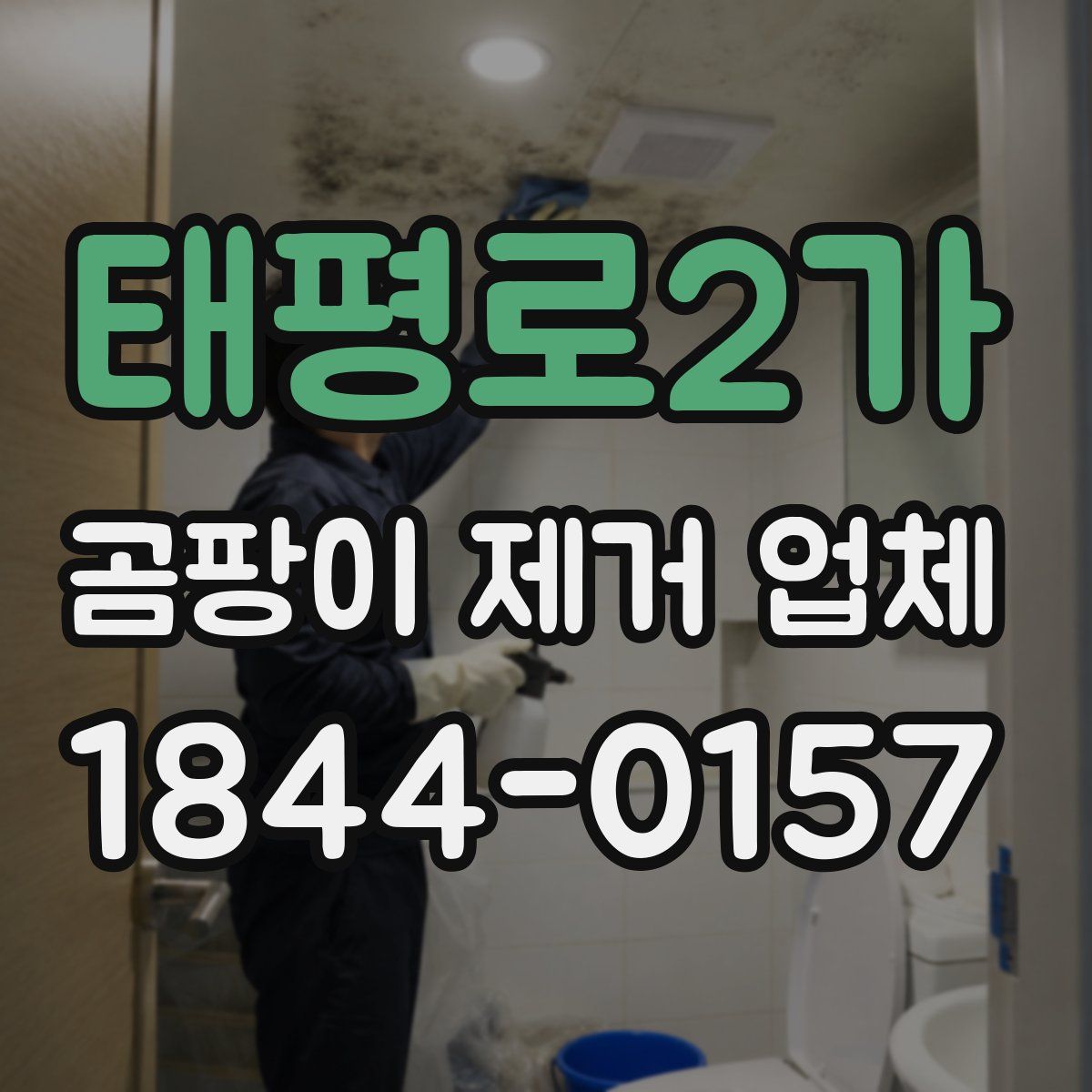 태평로2가 곰팡이 제거 업체