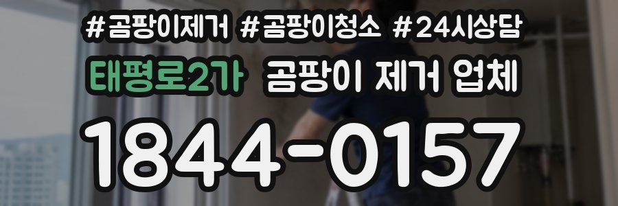 태평로2가 곰팡이 제거 업체