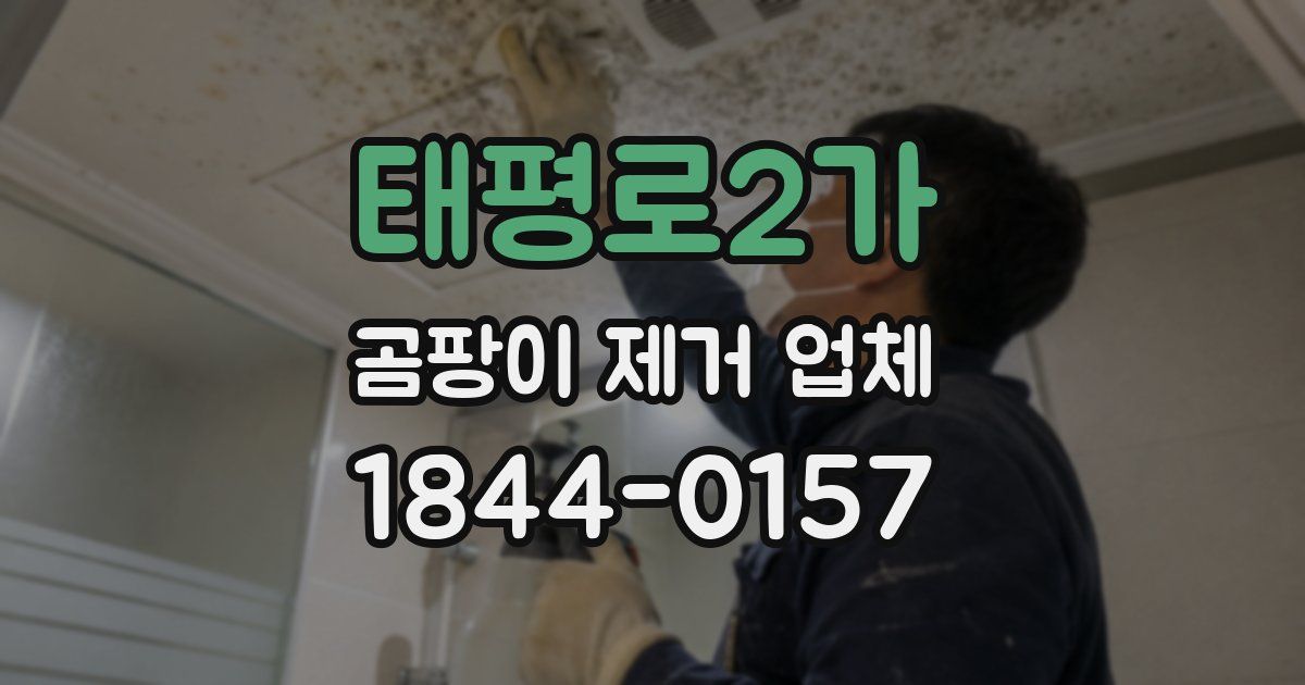 태평로2가 곰팡이 제거 업체