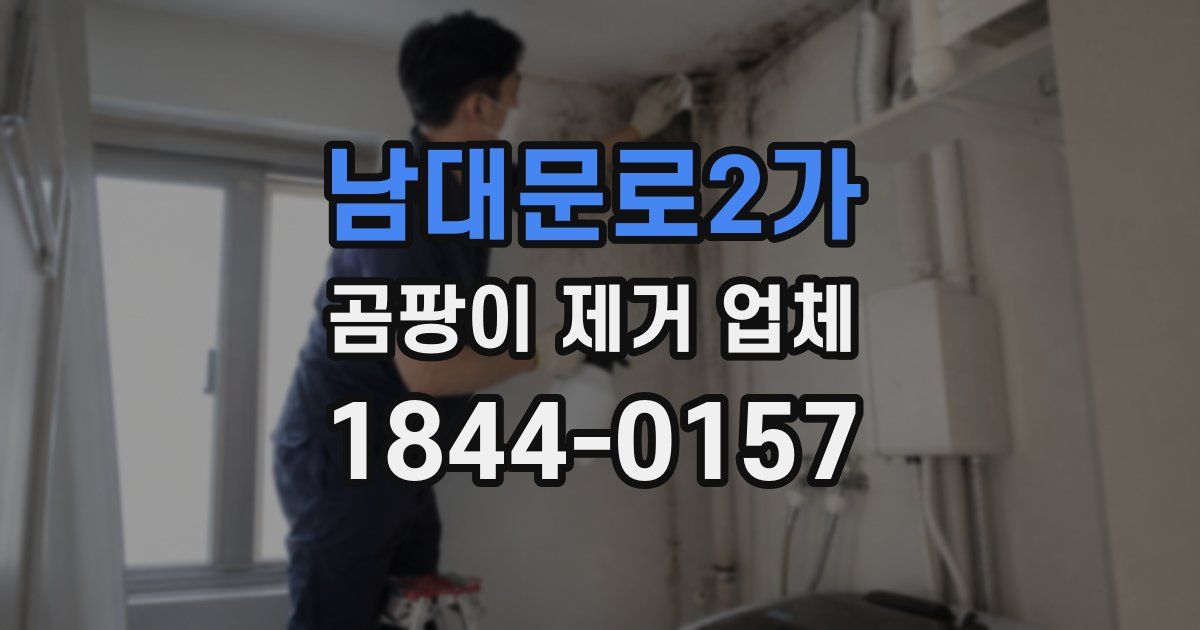 남대문로2가 곰팡이 제거 업체