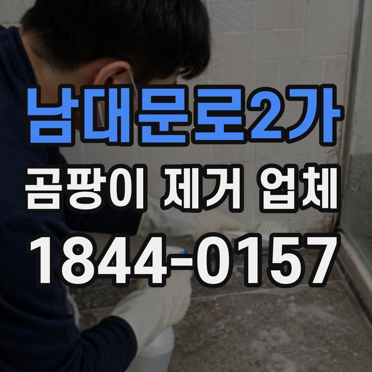 남대문로2가 곰팡이 제거 업체
