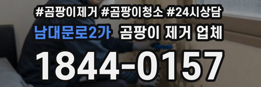 남대문로2가 곰팡이 제거 업체