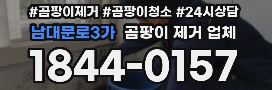 남대문로3가 곰팡이 제거 업체