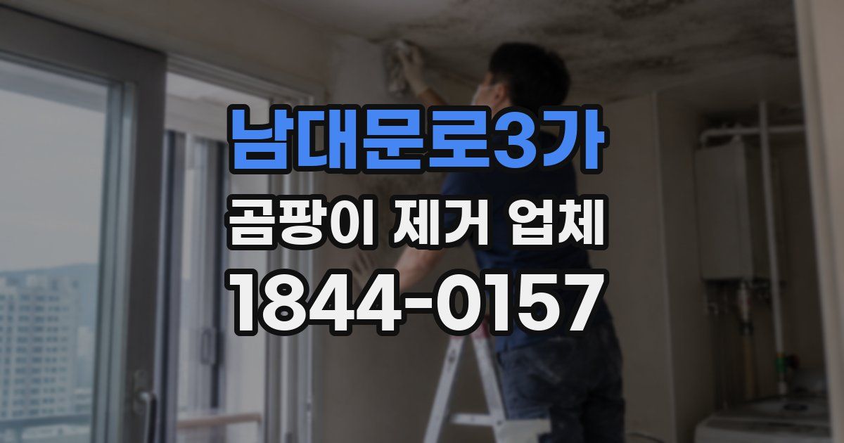남대문로3가 곰팡이 제거 업체