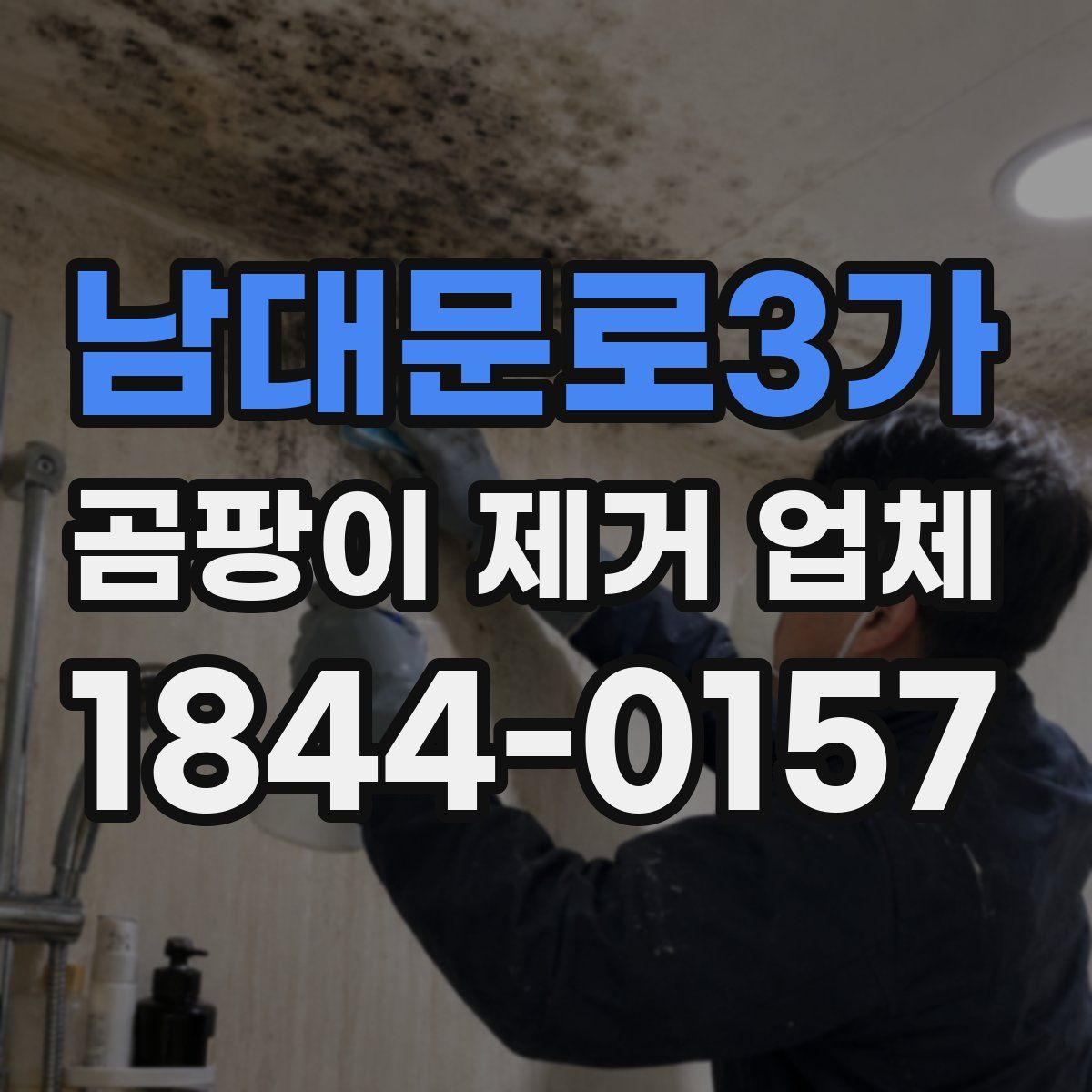 남대문로3가 곰팡이 제거 업체