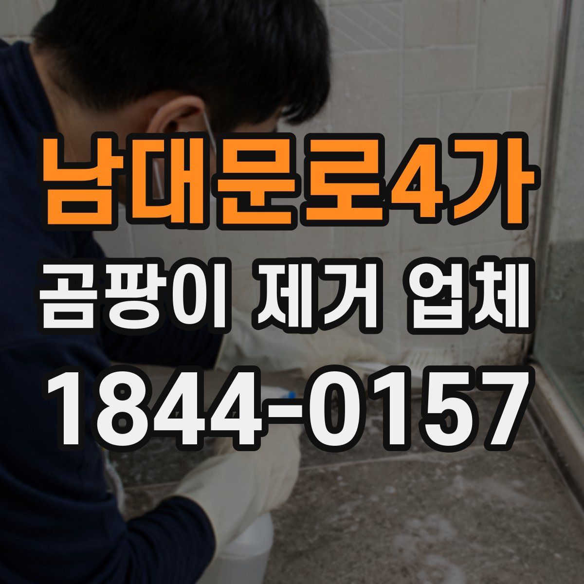 남대문로4가 곰팡이 제거 업체