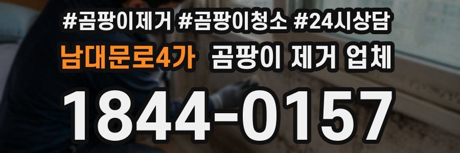 남대문로4가 곰팡이 제거 업체
