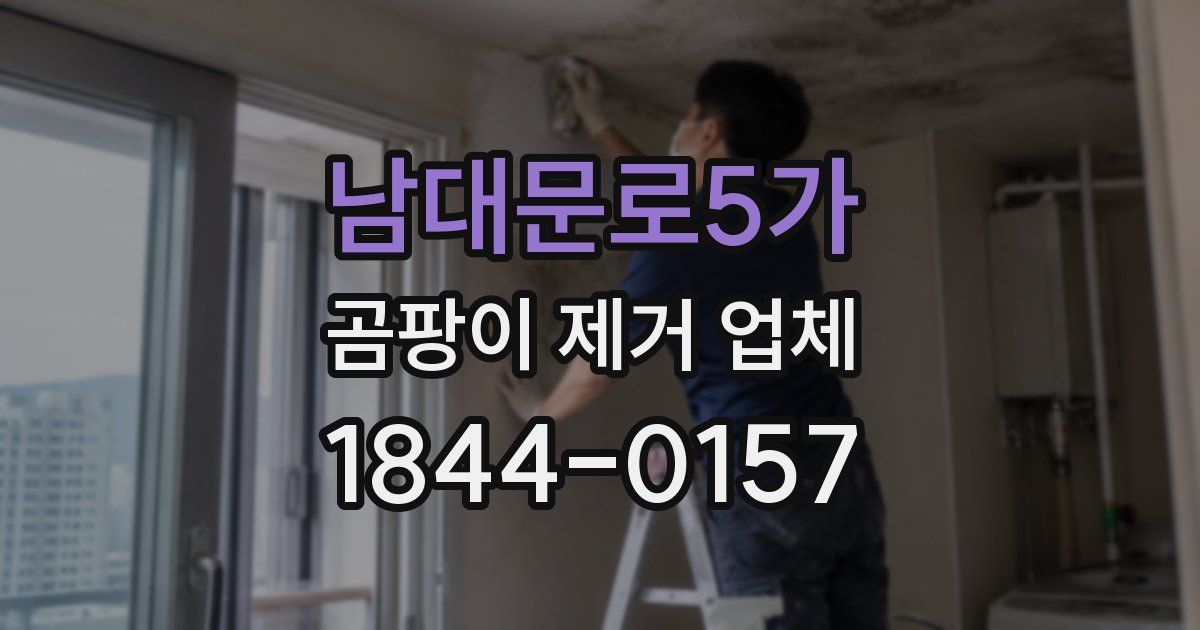 남대문로5가 곰팡이 제거 업체