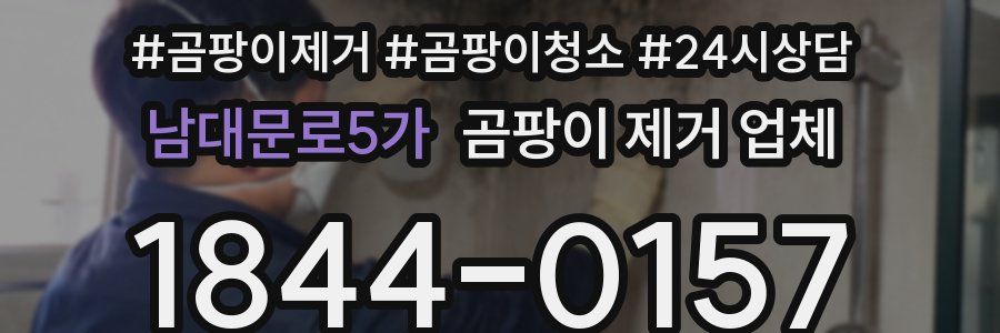 남대문로5가 곰팡이 제거 업체