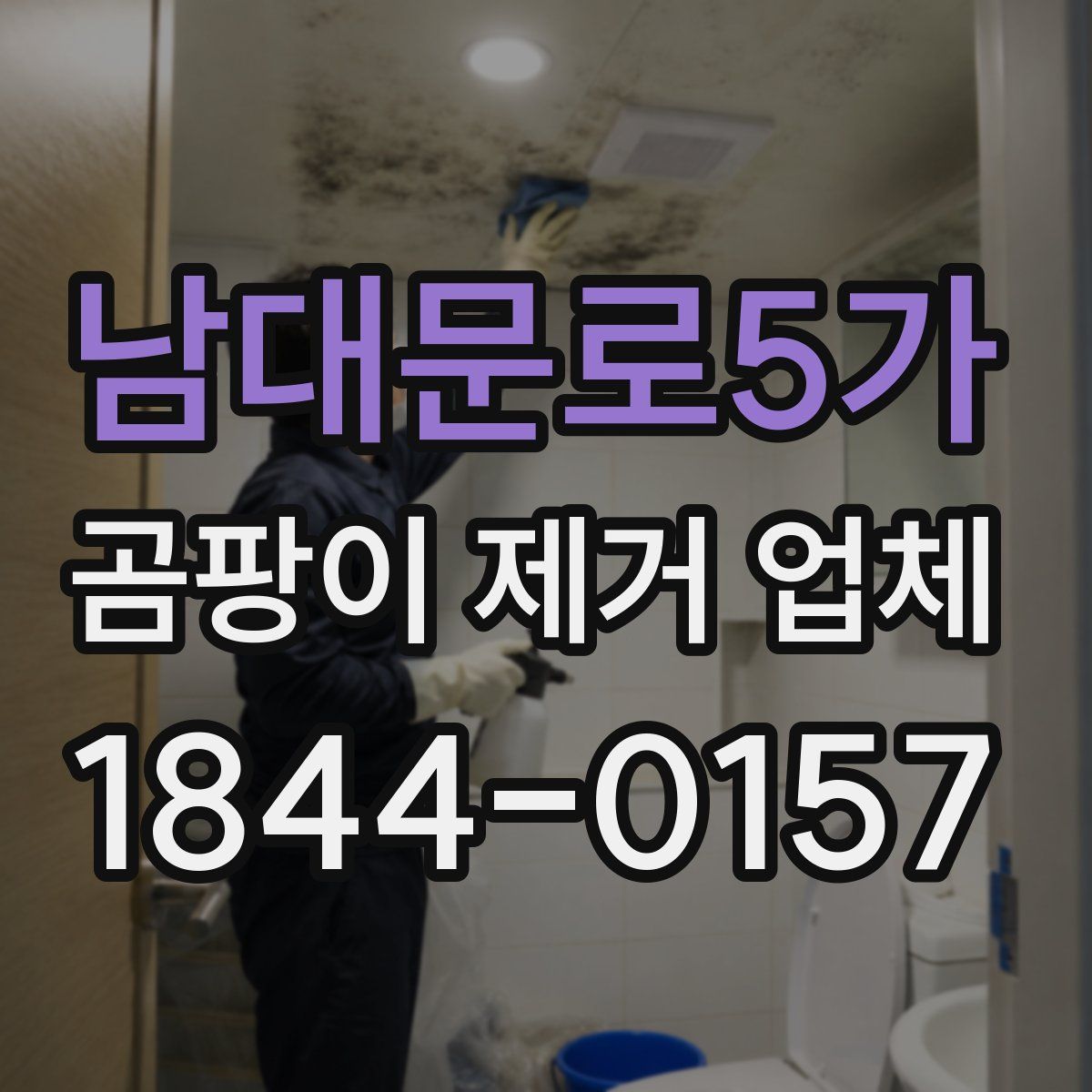 남대문로5가 곰팡이 제거 업체