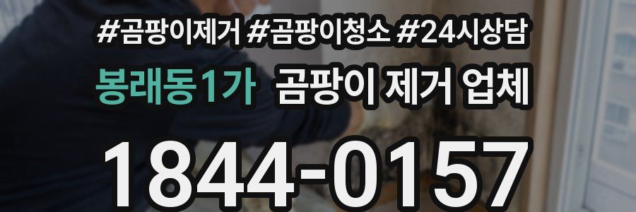 봉래동1가 곰팡이 제거 업체