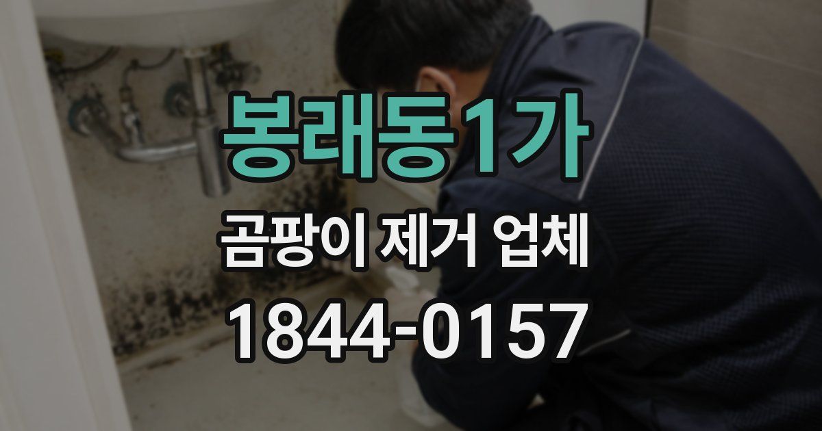 봉래동1가 곰팡이 제거 업체