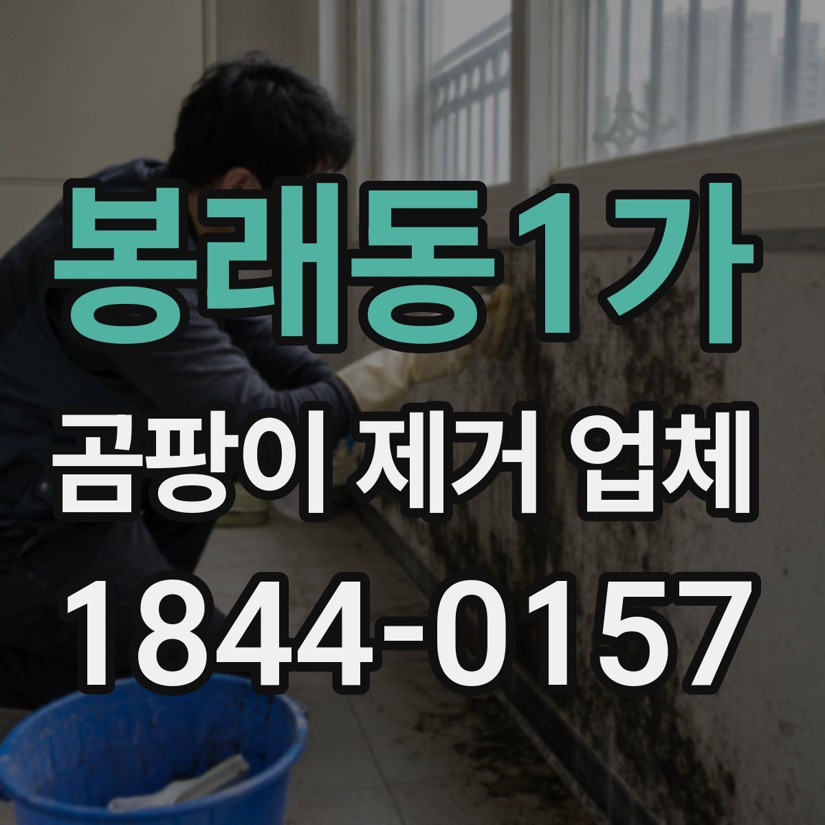 봉래동1가 곰팡이 제거 업체