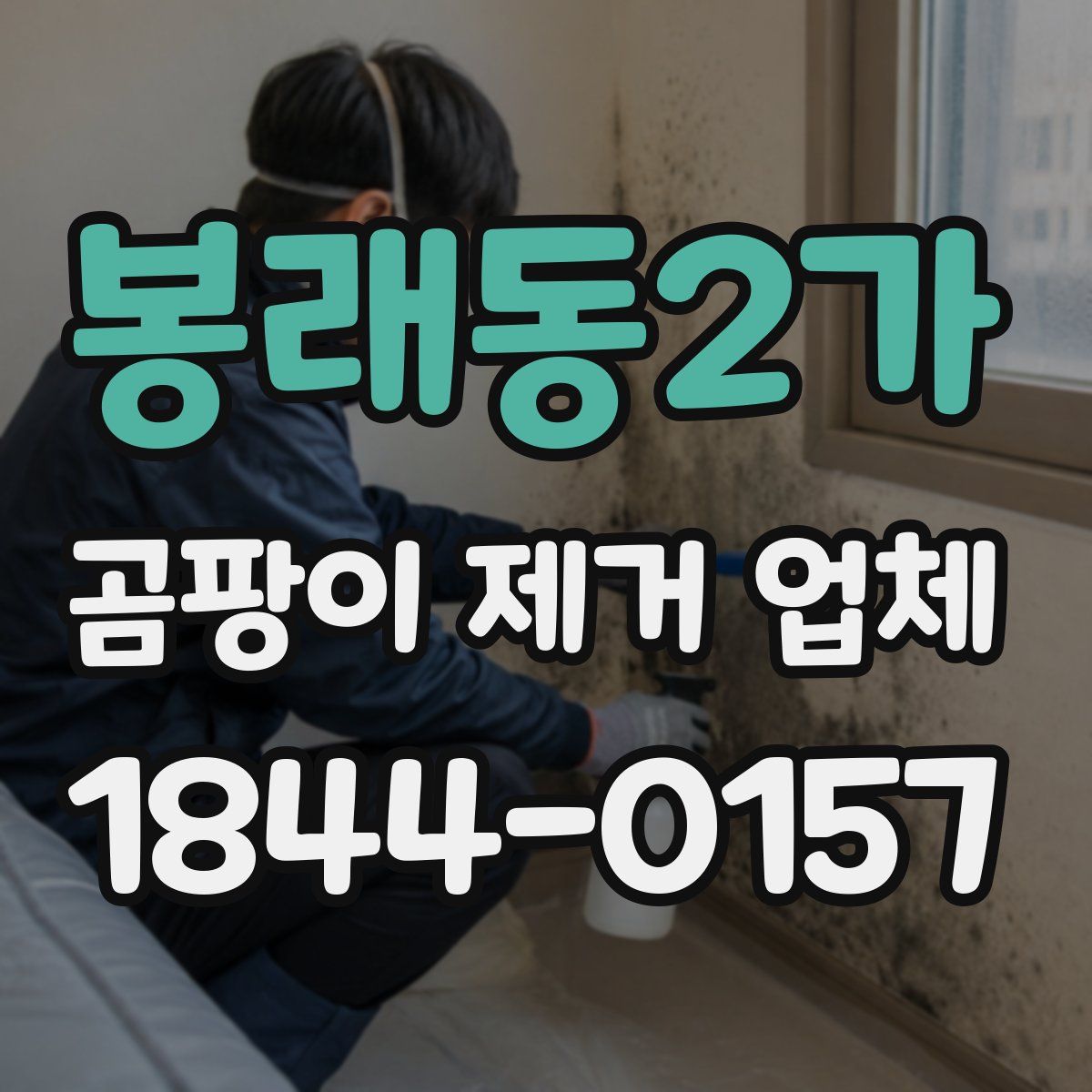 봉래동2가 곰팡이 제거 업체