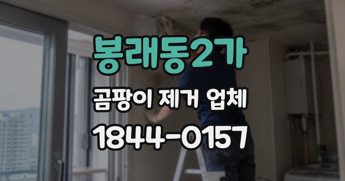 봉래동2가 곰팡이 제거 업체