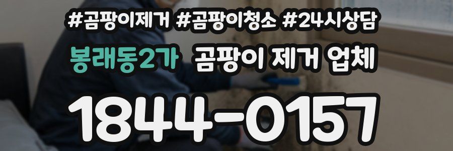 봉래동2가 곰팡이 제거 업체