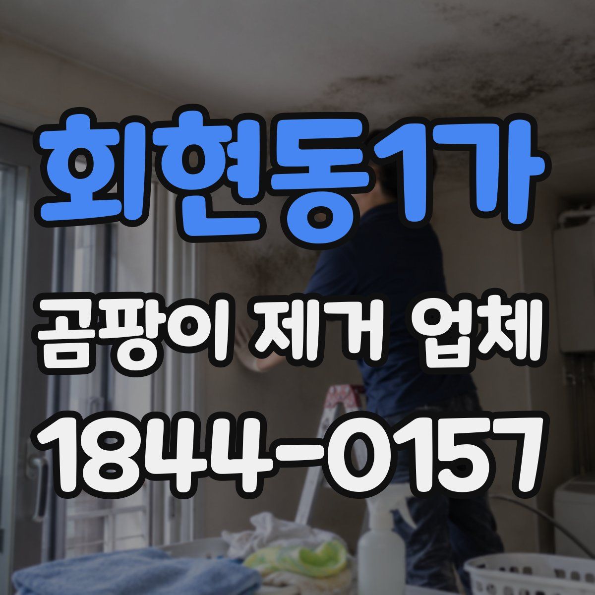 회현동1가 곰팡이 제거 업체