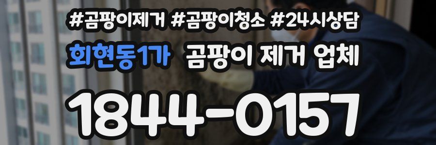 회현동1가 곰팡이 제거 업체